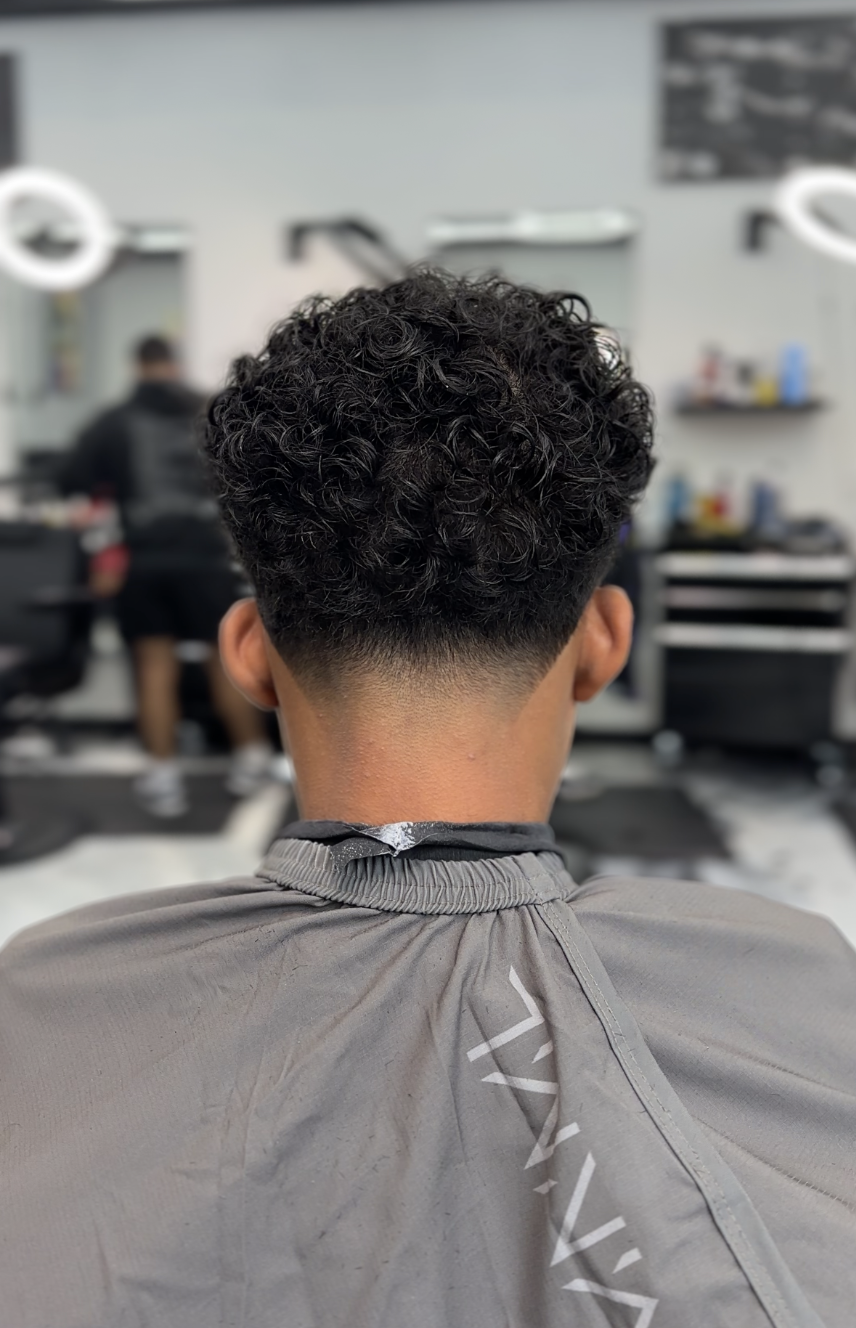 Tight curly top with skin fade from the back
